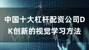 中国十大杠杆配资公司DK创新的视觉学习方法