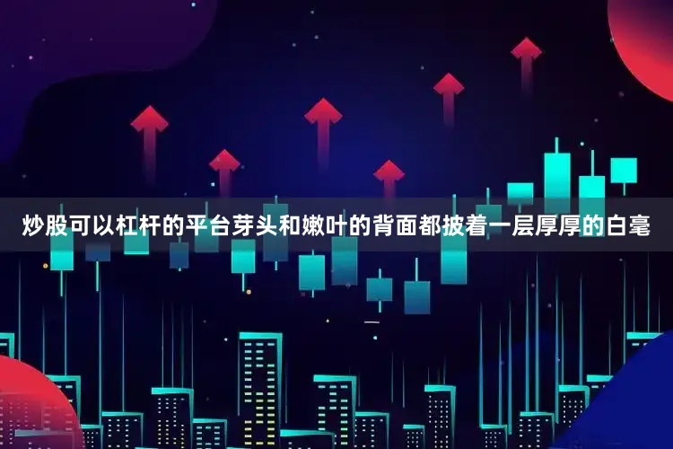 炒股可以杠杆的平台芽头和嫩叶的背面都披着一层厚厚的白毫
