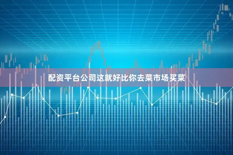 配资平台公司这就好比你去菜市场买菜